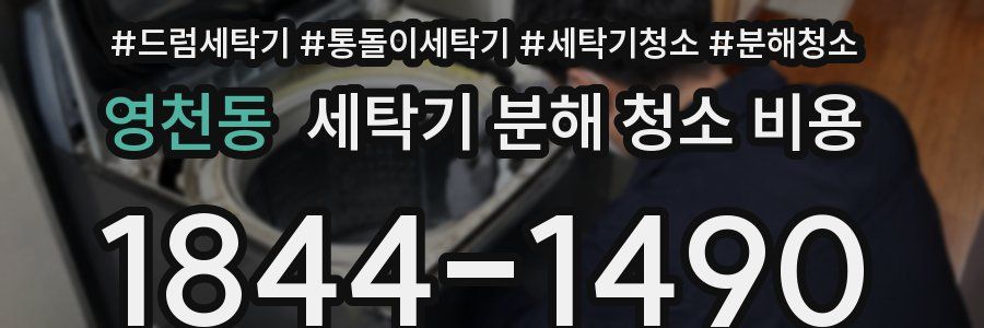 영천동 세탁기 분해 청소 비용