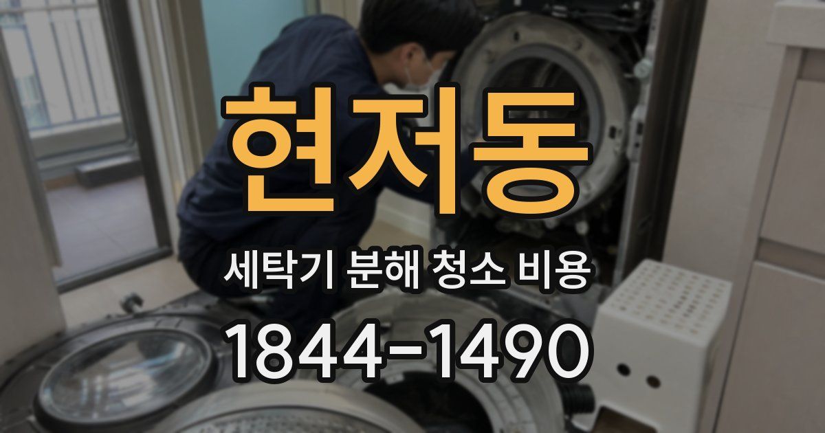 현저동 세탁기 분해 청소 비용