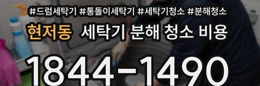 현저동 세탁기 분해 청소 비용