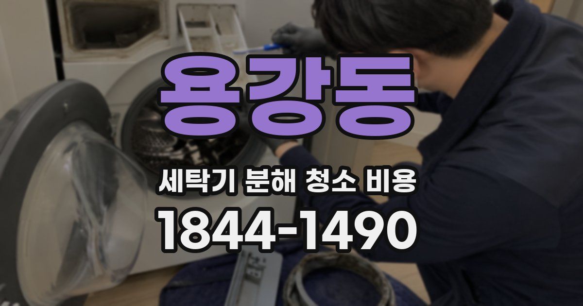 용강동 세탁기 분해 청소 비용