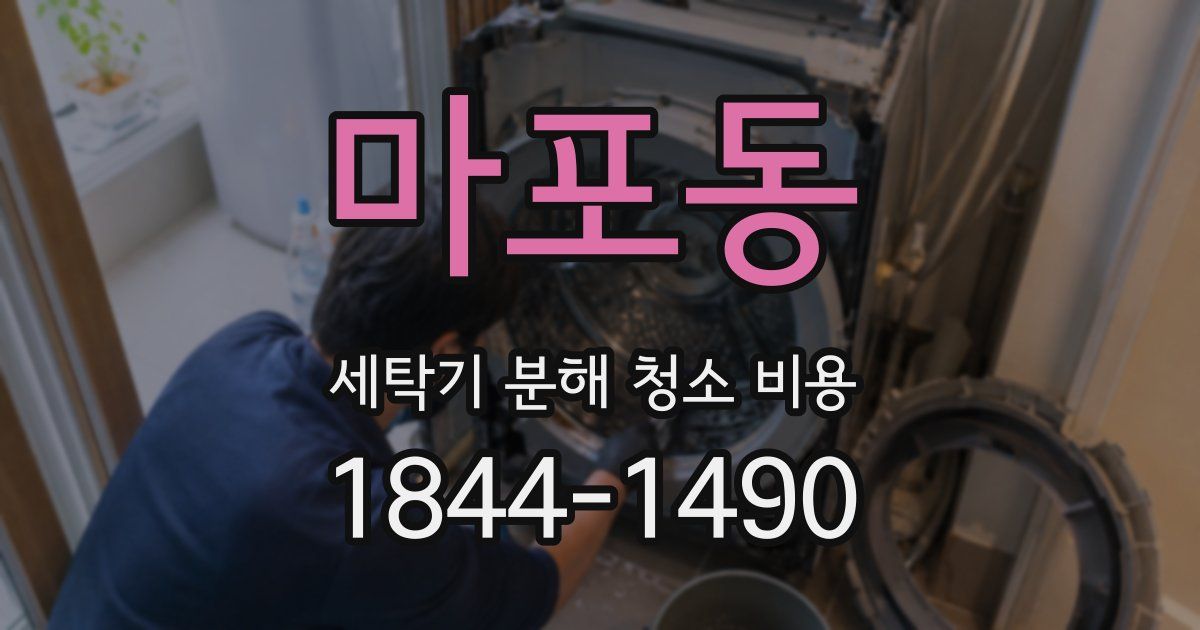 마포동 세탁기 분해 청소 비용