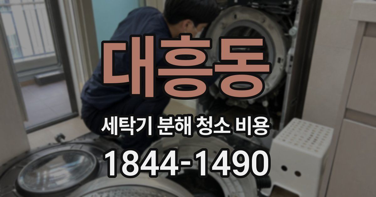 대흥동 세탁기 분해 청소 비용