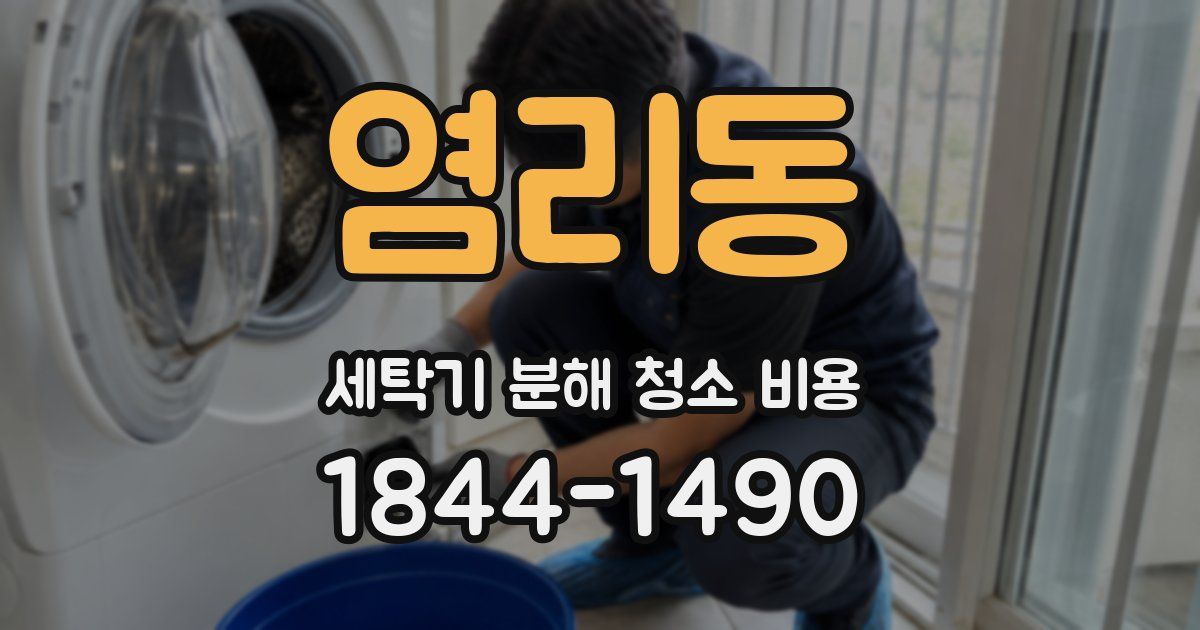 염리동 세탁기 분해 청소 비용