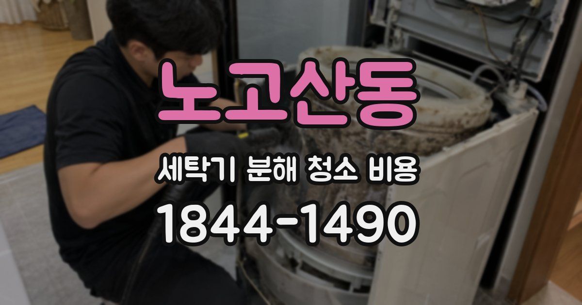 노고산동 세탁기 분해 청소 비용