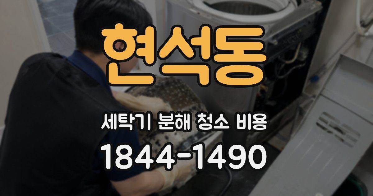 현석동 세탁기 분해 청소 비용