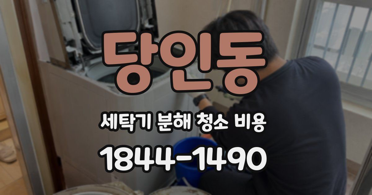 당인동 세탁기 분해 청소 비용