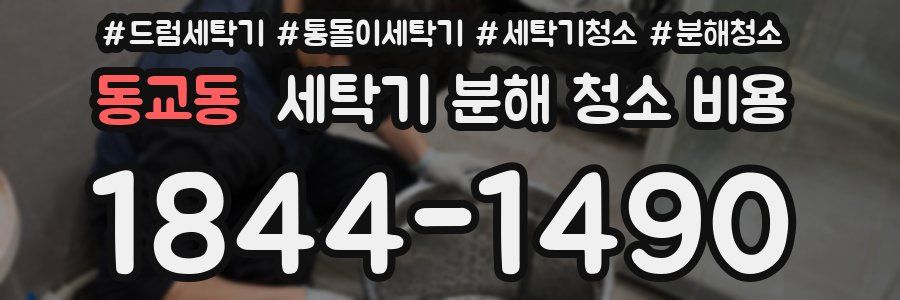 동교동 세탁기 분해 청소 비용
