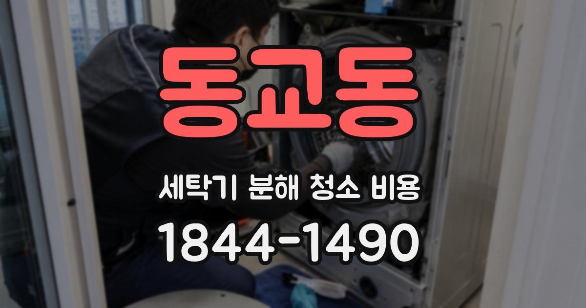 동교동 세탁기 분해 청소 비용