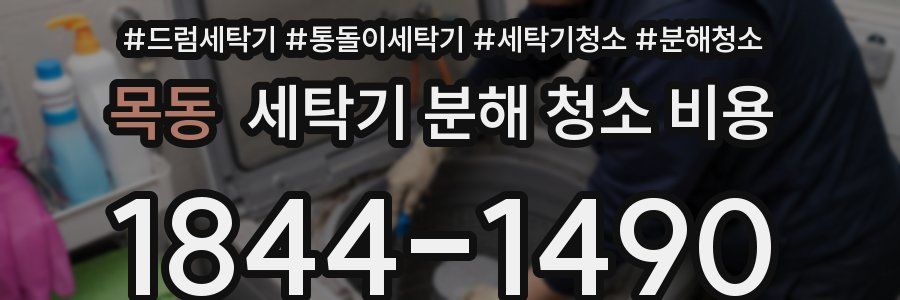 목동 세탁기 분해 청소 비용