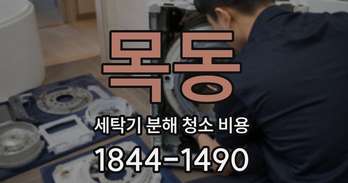목동 세탁기 분해 청소 비용
