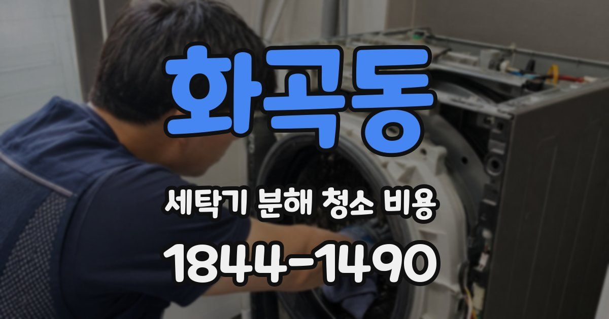화곡동 세탁기 분해 청소 비용