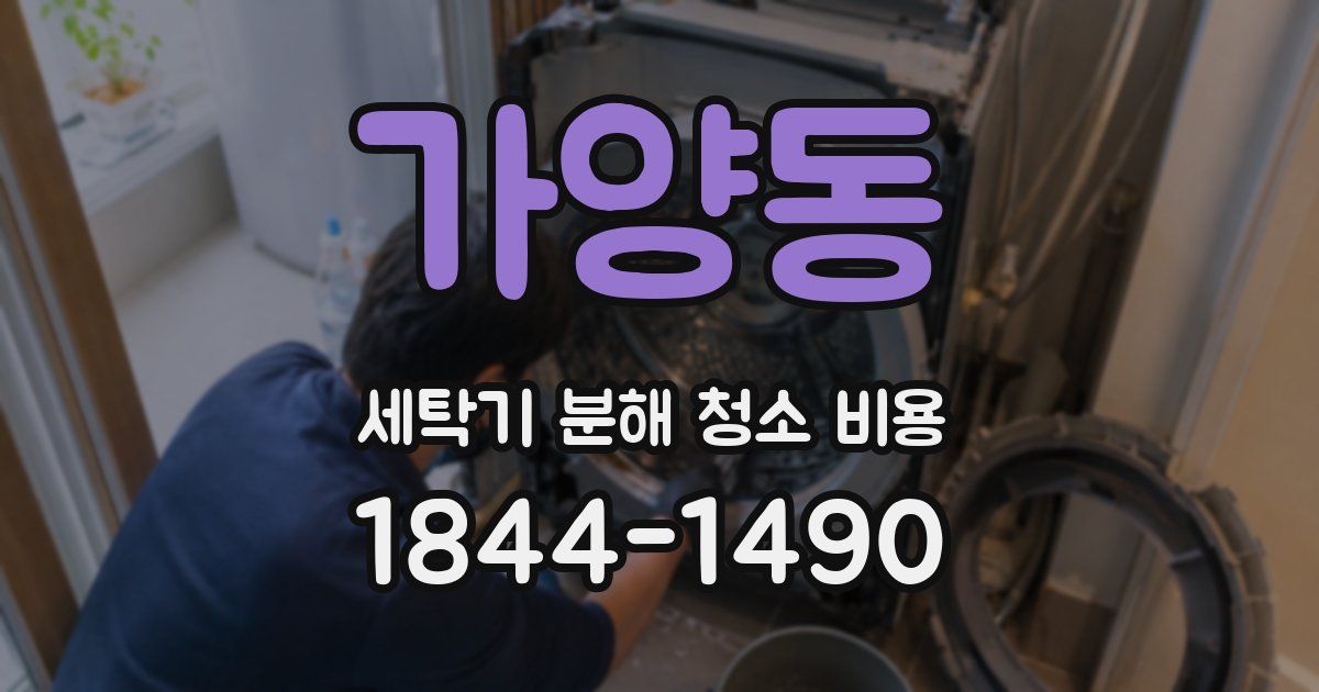 가양동 세탁기 분해 청소 비용
