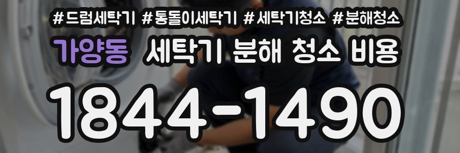 가양동 세탁기 분해 청소 비용