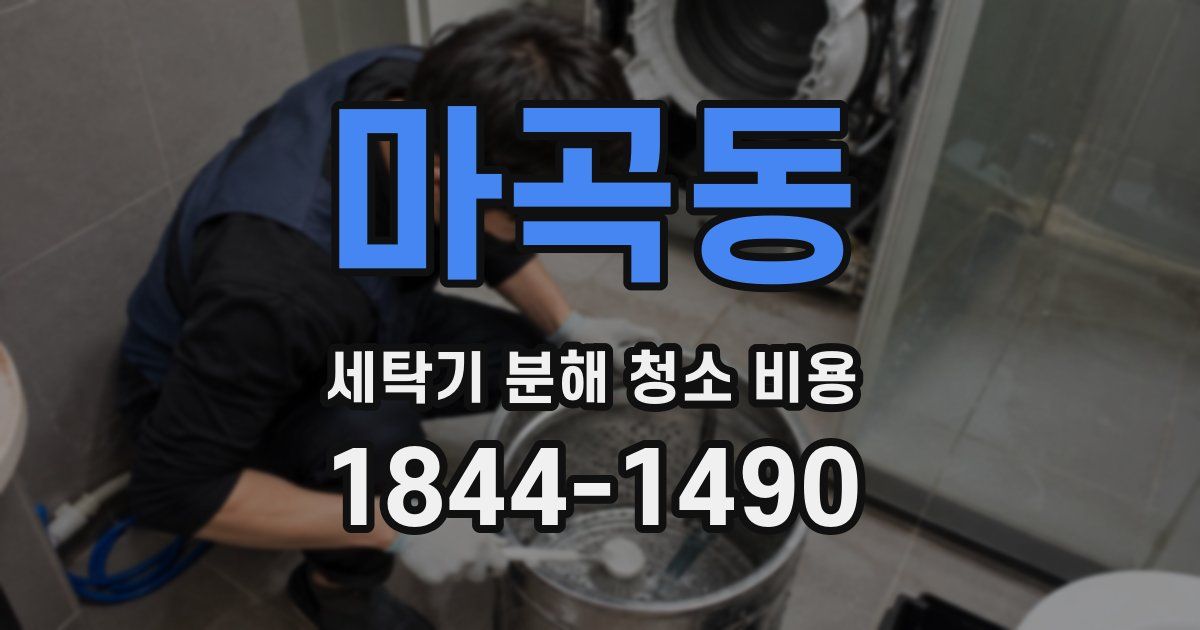 마곡동 세탁기 분해 청소 비용