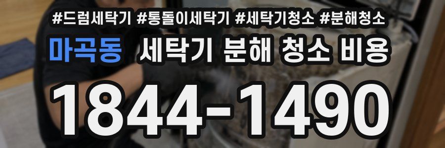 마곡동 세탁기 분해 청소 비용