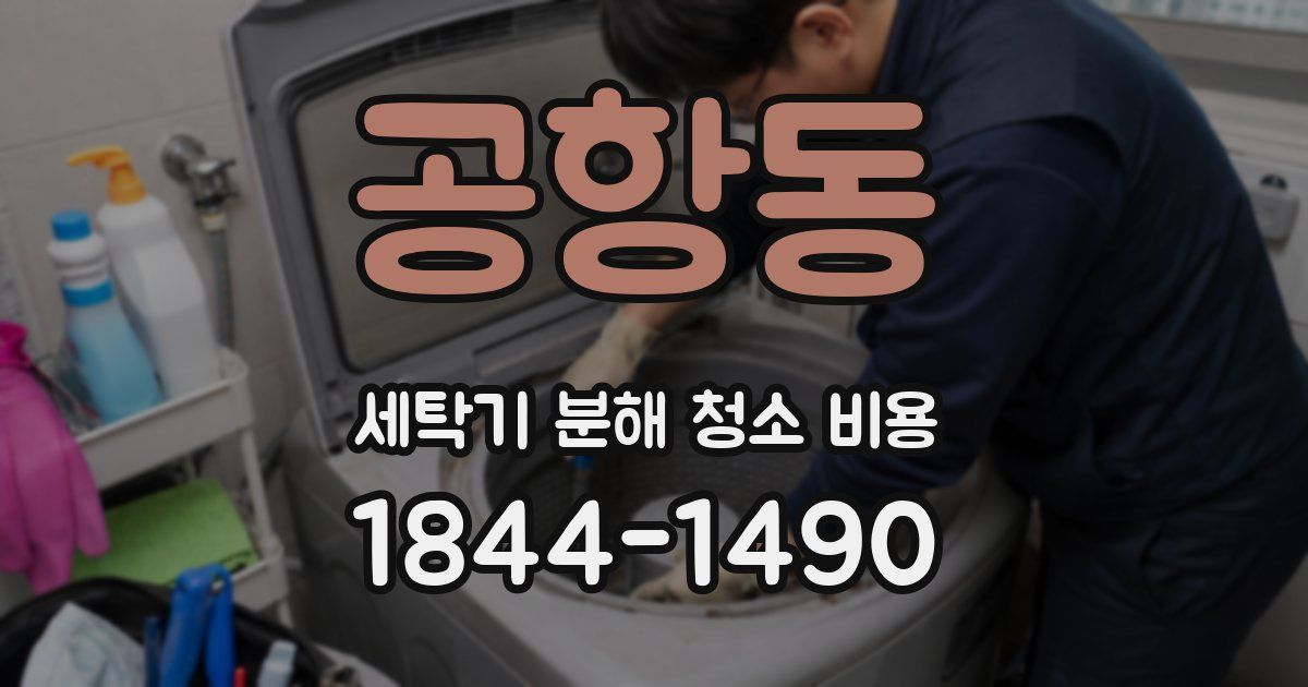 공항동 세탁기 분해 청소 비용