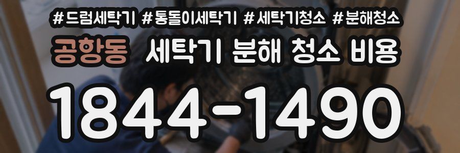 공항동 세탁기 분해 청소 비용