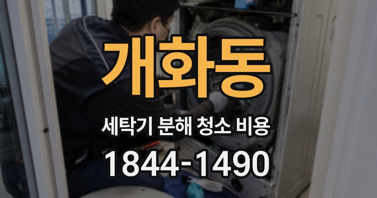개화동 세탁기 분해 청소 비용