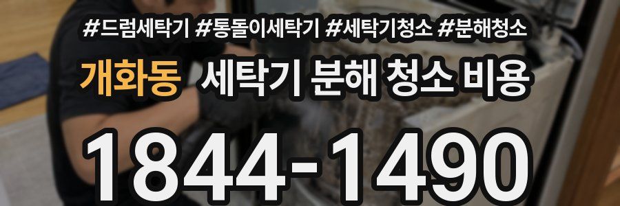 개화동 세탁기 분해 청소 비용
