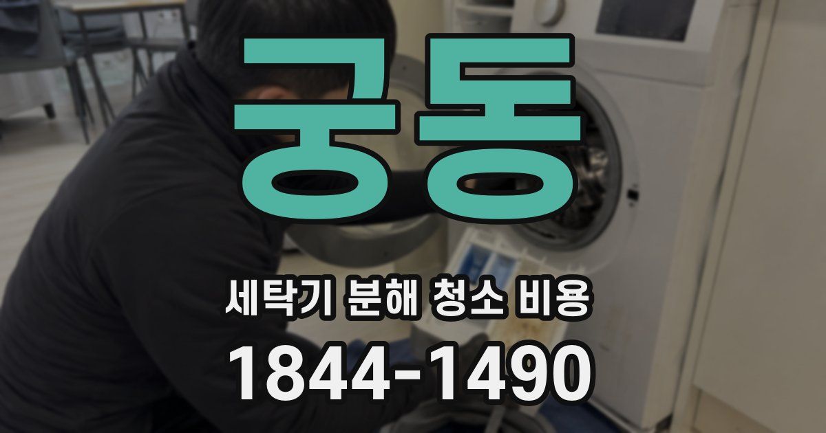 궁동 세탁기 분해 청소 비용