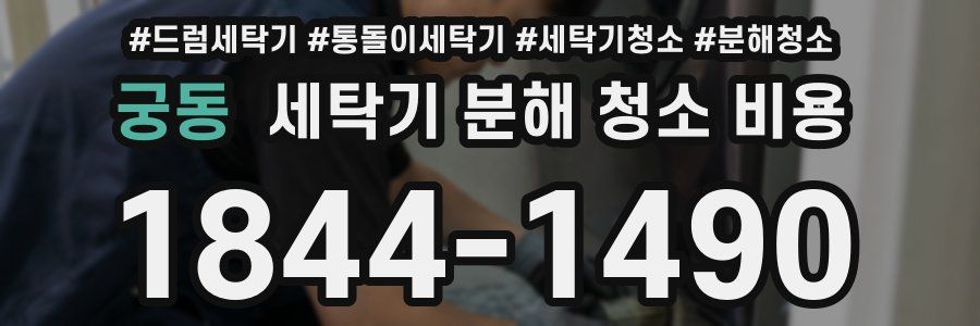 궁동 세탁기 분해 청소 비용