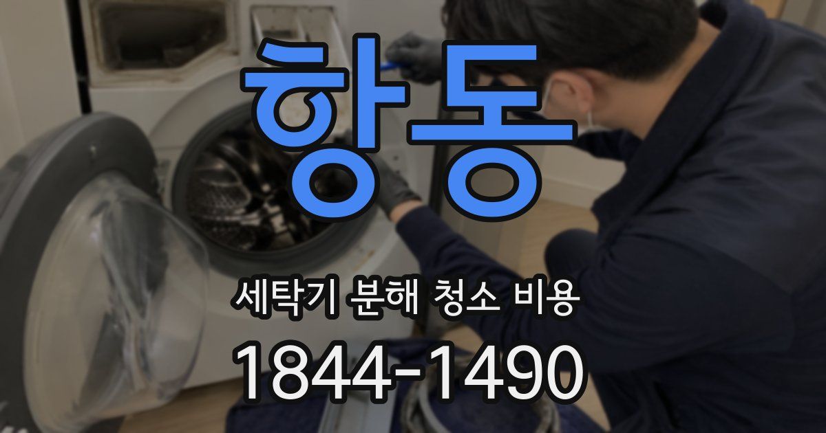 항동 세탁기 분해 청소 비용