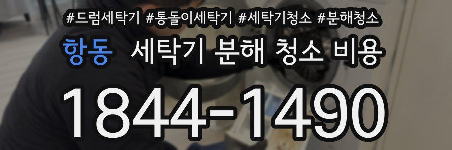 항동 세탁기 분해 청소 비용
