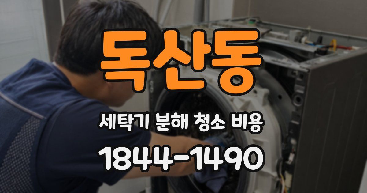 독산동 세탁기 분해 청소 비용