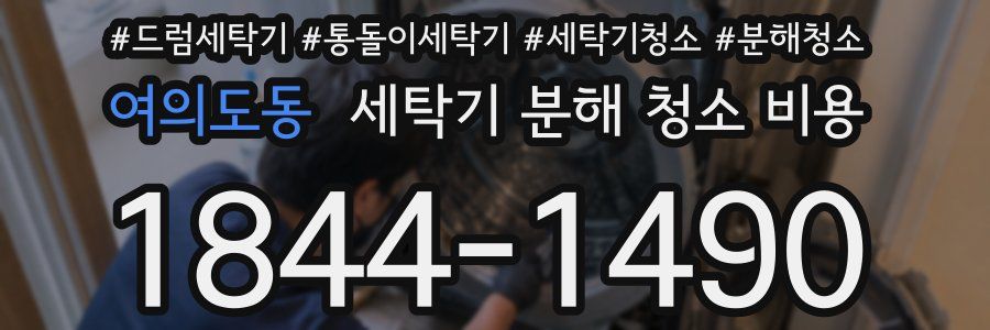 여의도동 세탁기 분해 청소 비용
