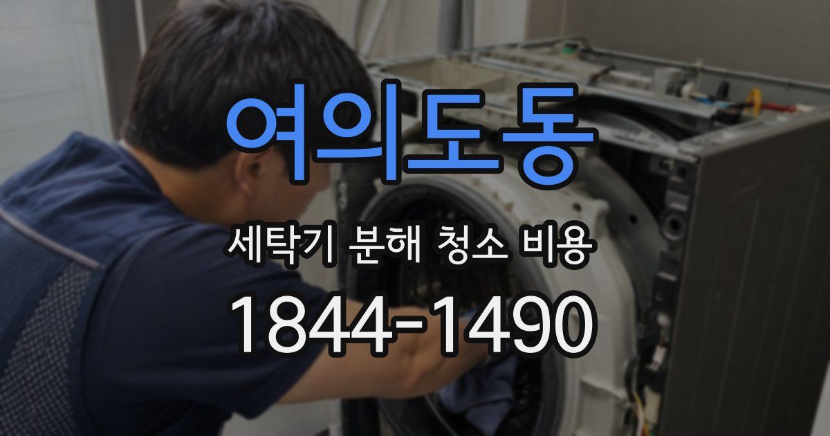 여의도동 세탁기 분해 청소 비용