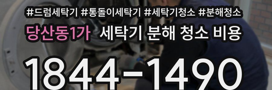 당산동1가 세탁기 분해 청소 비용