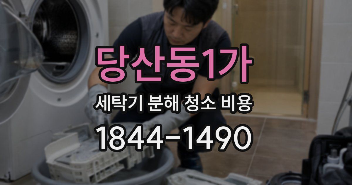 당산동1가 세탁기 분해 청소 비용