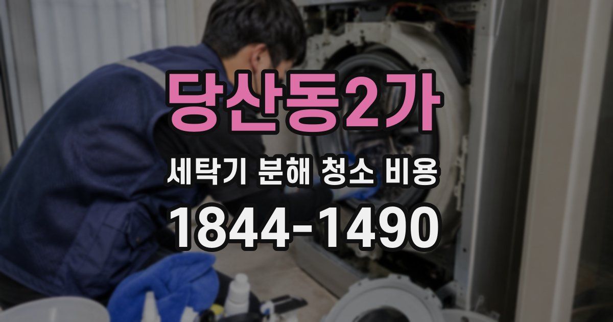 당산동2가 세탁기 분해 청소 비용