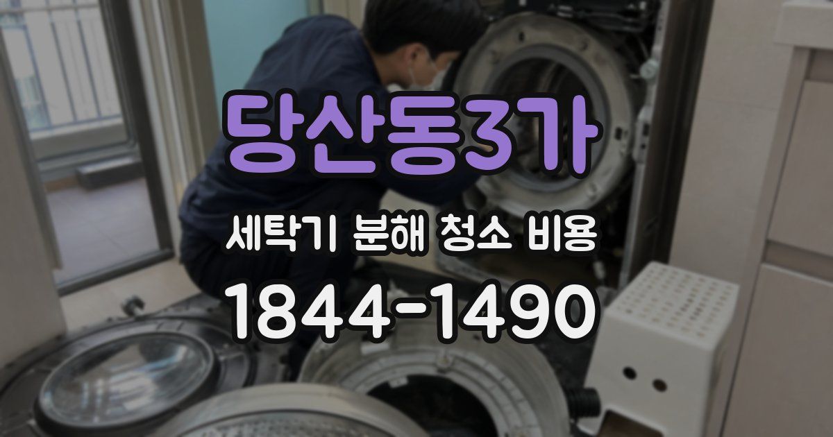 당산동3가 세탁기 분해 청소 비용
