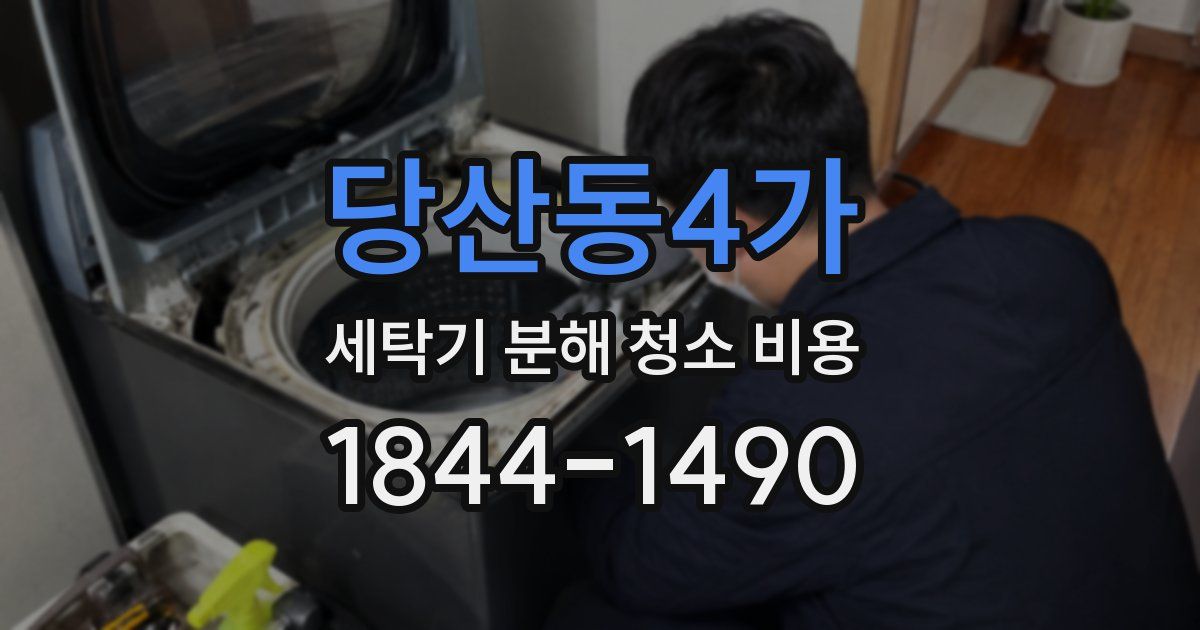 당산동4가 세탁기 분해 청소 비용