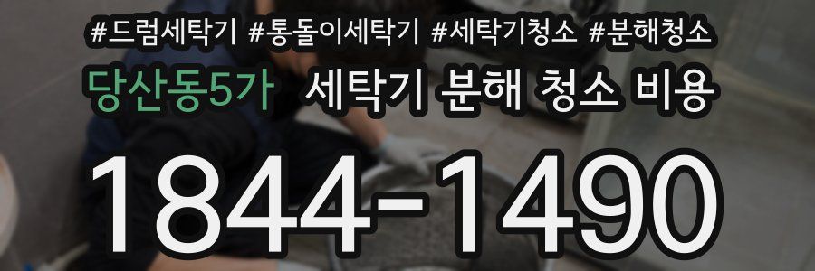 당산동5가 세탁기 분해 청소 비용