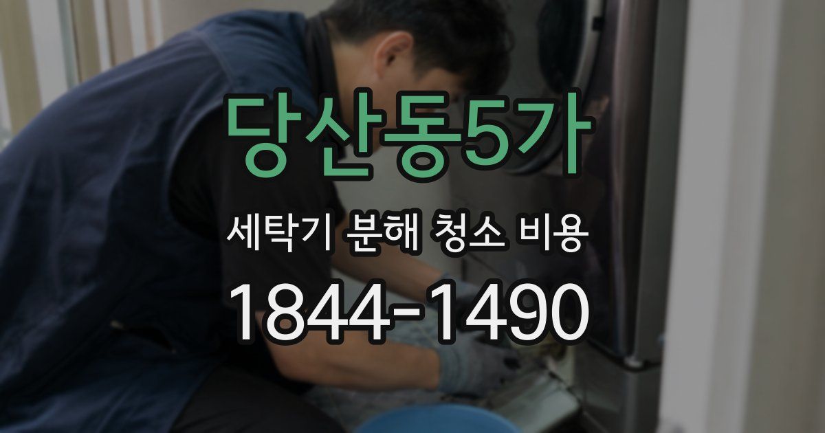당산동5가 세탁기 분해 청소 비용