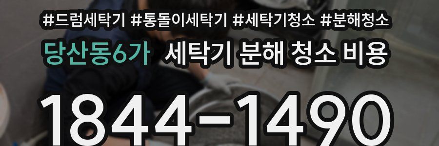 당산동6가 세탁기 분해 청소 비용