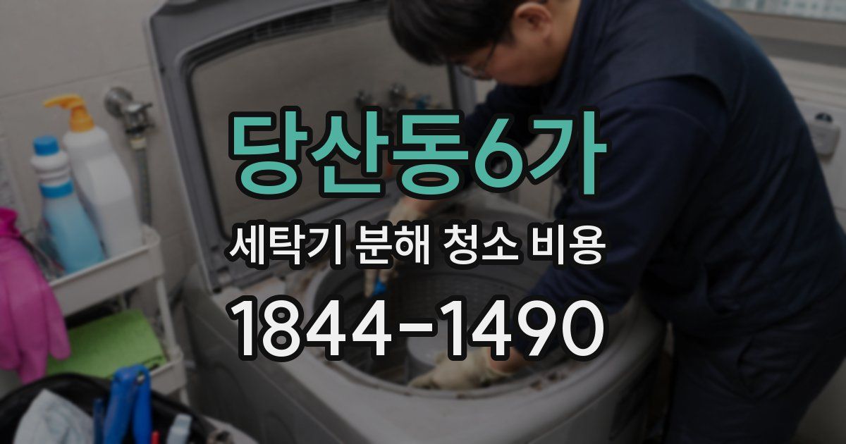 당산동6가 세탁기 분해 청소 비용