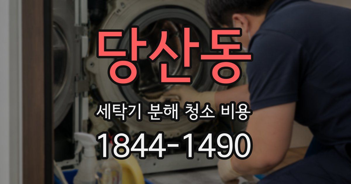 당산동 세탁기 분해 청소 비용