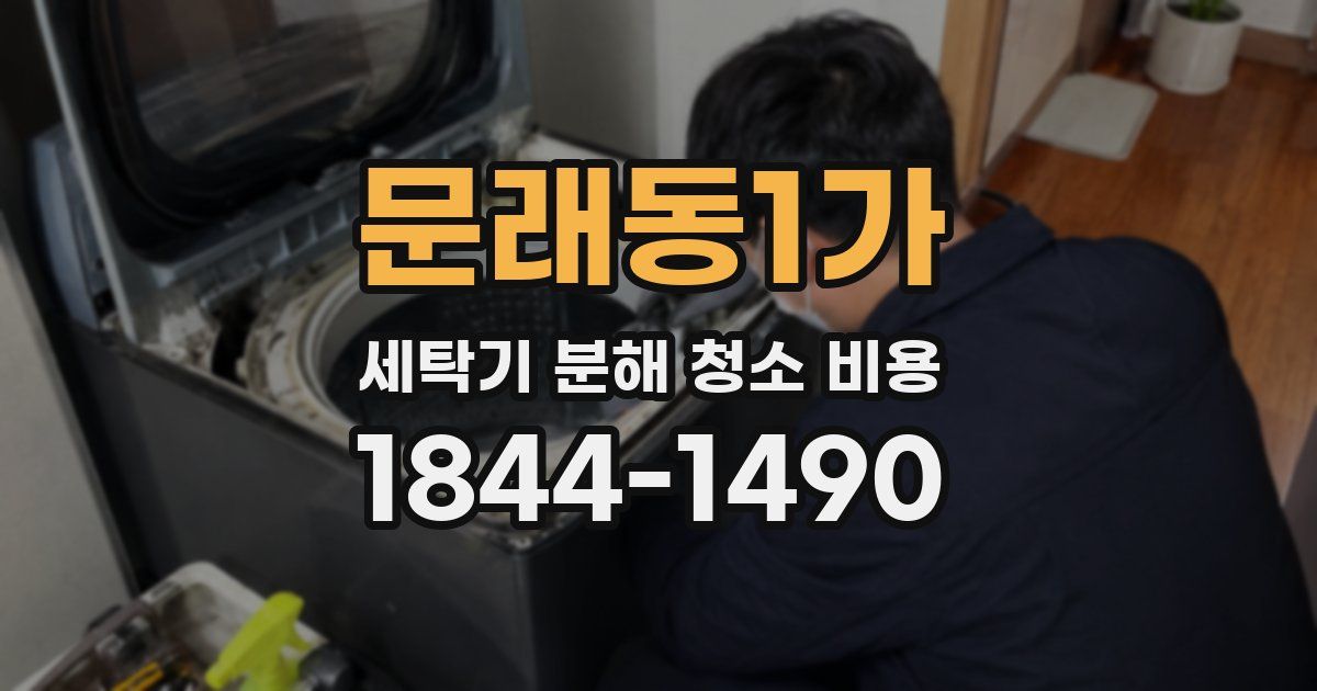 문래동1가 세탁기 분해 청소 비용
