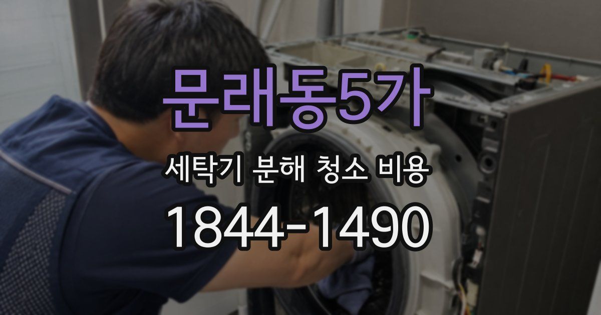 문래동5가 세탁기 분해 청소 비용