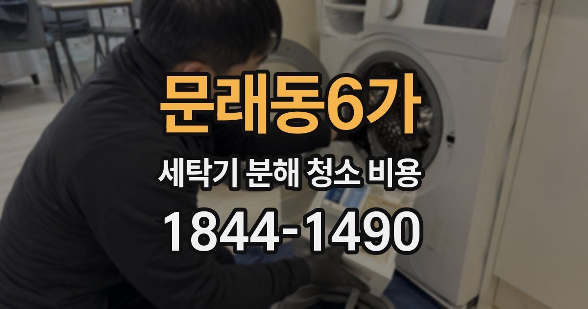 문래동6가 세탁기 분해 청소 비용