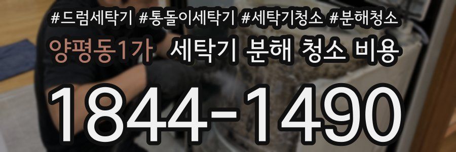 양평동1가 세탁기 분해 청소 비용