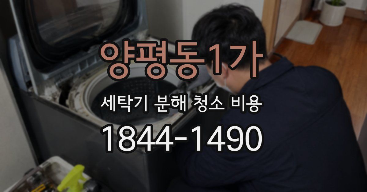 양평동1가 세탁기 분해 청소 비용