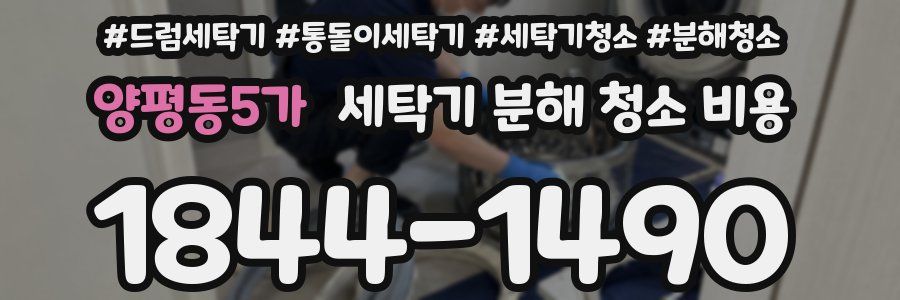 양평동5가 세탁기 분해 청소 비용