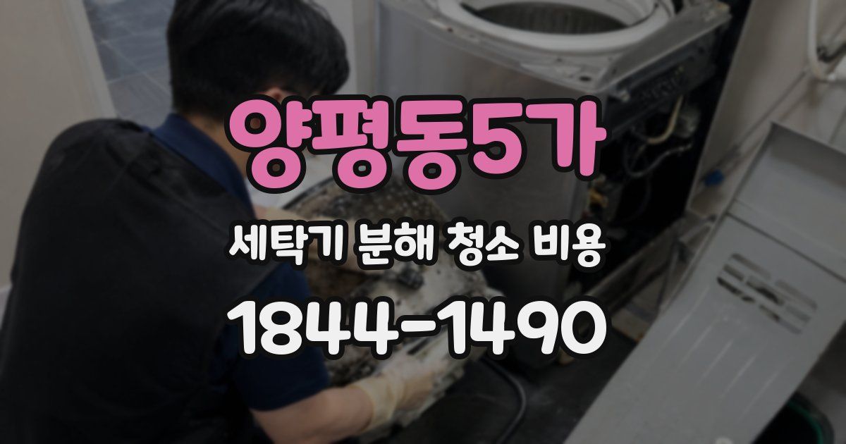 양평동5가 세탁기 분해 청소 비용