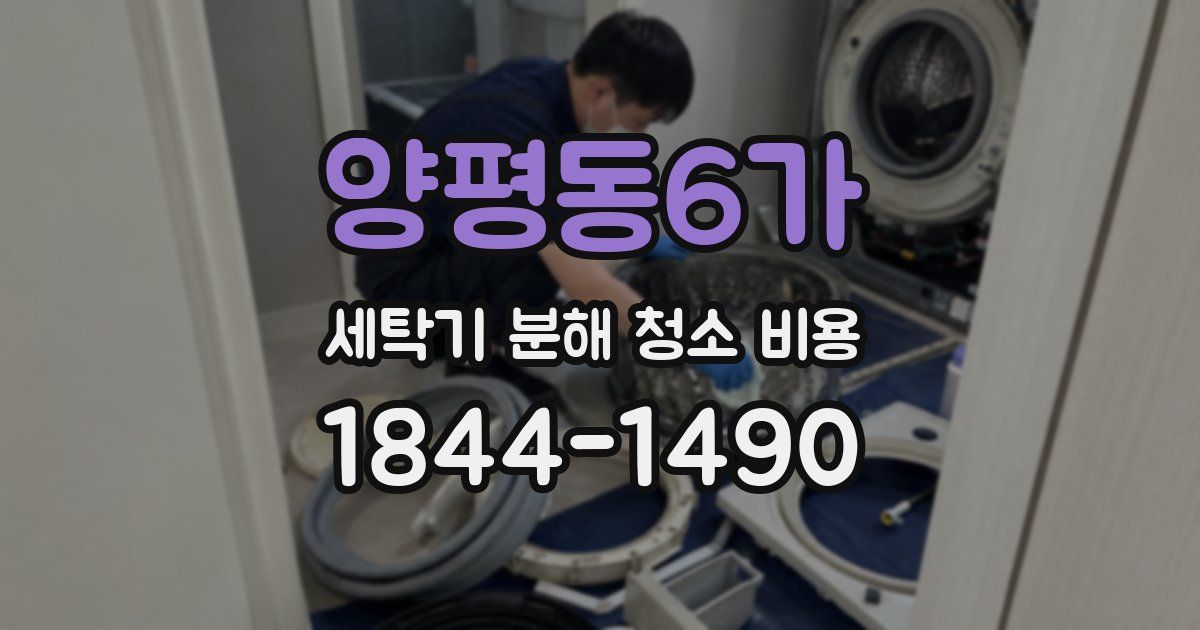 양평동6가 세탁기 분해 청소 비용