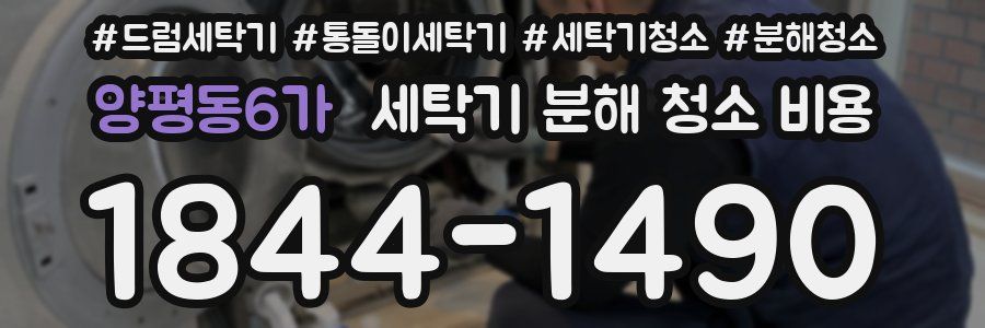 양평동6가 세탁기 분해 청소 비용