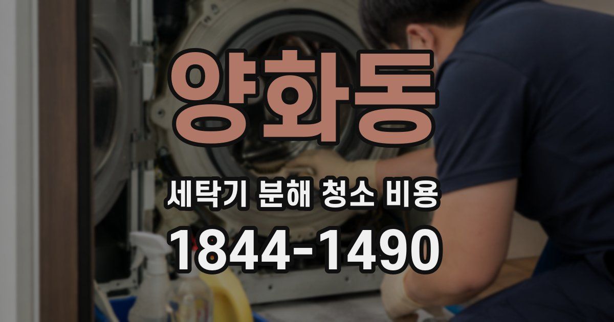 양화동 세탁기 분해 청소 비용